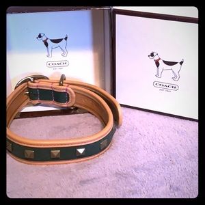 Coach Pyramid Stud Dog Collar